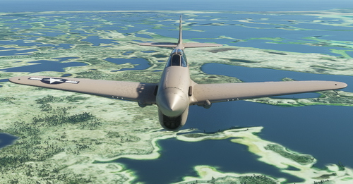 P-40N 45th FS "2105110"