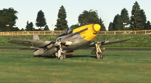 P-51 Ferocious Frankie Livery