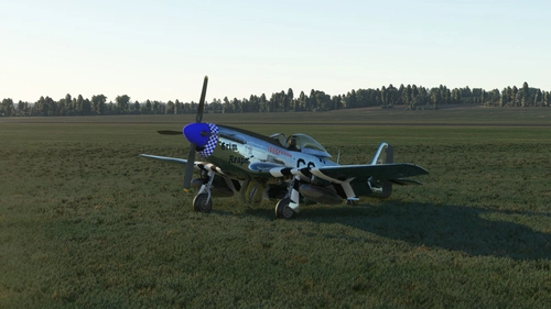 P51D Grim Reaper [WIP]