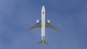 Latam Airlines Fleet Pack 1 w/Cabin [4K+8K] | PMDG 777-300ER thumbnail 15