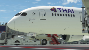 [PACK] Kuro Boeing 787-8 Thai Airways Fleet (HS-TQA, HS-TQB, HS-TQC, HS-TQD, HS-TQE & HS-TQF) thumbnail 8