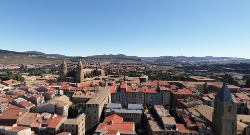 Pamplona no tree
