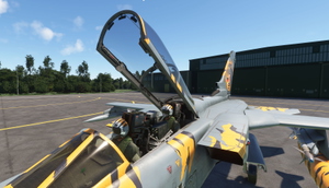 Panavia Tornado ECR  46+57 Tiger Spirit thumbnail 5