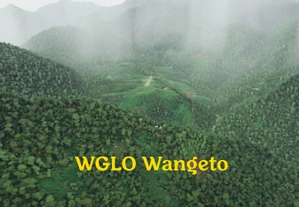 12 Papua New Guinea airstrips thumbnail 2