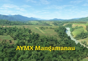 12 Papua New Guinea airstrips thumbnail 3