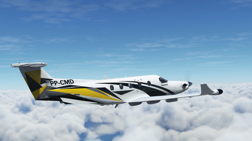 Carenado Pilatus PC-12 -| CIMED PP-CMD
