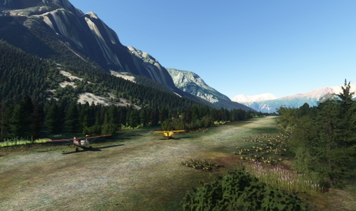 Peavine Bush Strip, Alaska (TW10)