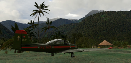 Piaggio P.149 D Sepik P2-GRK v20