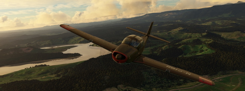Piaggio P149D Varilaku NC1811