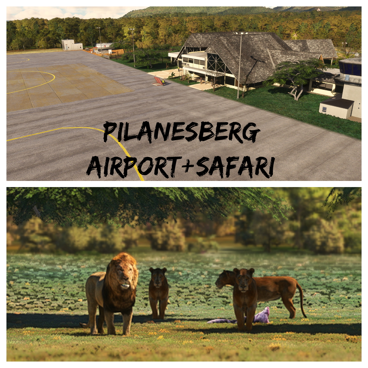 FAPN - Pilanesberg Airport + Wildlife Safari  - Image 1