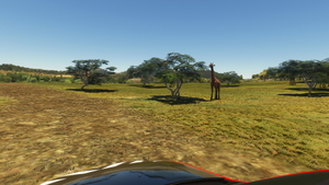 FAPN - Pilanesberg Airport + Wildlife Safari  thumbnail 7