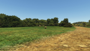 FAPN - Pilanesberg Airport + Wildlife Safari  thumbnail 8