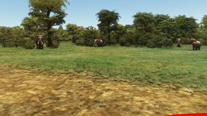 FAPN - Pilanesberg Airport + Wildlife Safari  thumbnail 9