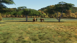 FAPN - Pilanesberg Airport + Wildlife Safari  thumbnail 10