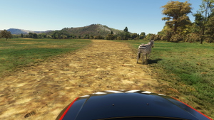 FAPN - Pilanesberg Airport + Wildlife Safari  thumbnail 11