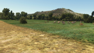 FAPN - Pilanesberg Airport + Wildlife Safari  thumbnail 13