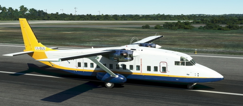 Pineapple Air C6 BUS Short 360