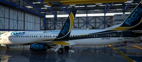 PMDG 737- 800BBJ2  RGS France Voyage