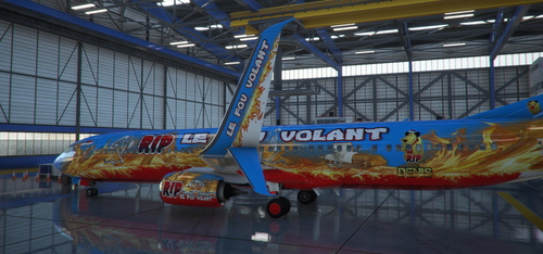 PMDG 737- 900ER  LE FOU VOLANT - LIVREES