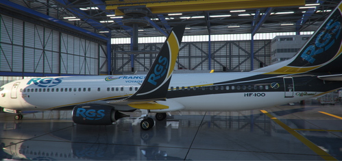 PMDG 737- 900ER   RGS FRANCE VOYAGE - LIVREES
