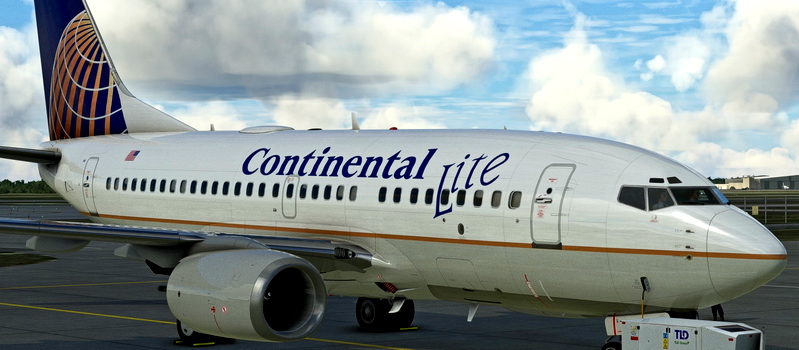 PMDG Boeing 737-600 Liveries for Microsoft Flight Simulator | MSFS ...