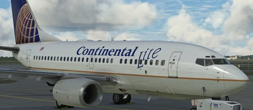 PMDG 737-600 Continental Lite - N18622