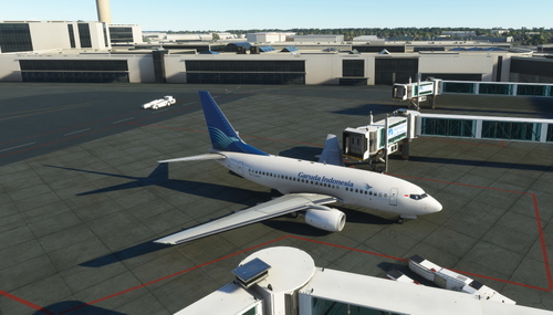 PMDG 737-600 Garuda Indonesia (Old Livery) [Requested]