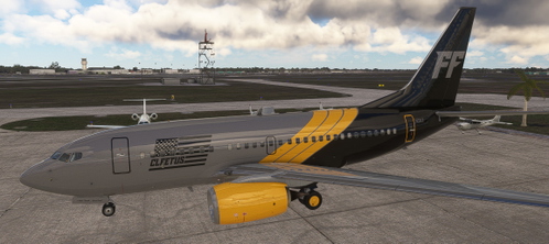 PMDG 737-600 McFarland Aviation (Fictional)