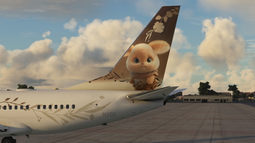 PMDG 737-700BBJ Cuddles (N1CD / Fictional)