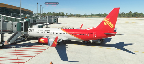 Pmdg-737-800-河南航空-Air-China