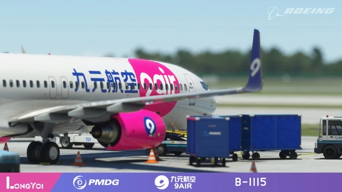PMDG 737-800 9 Air 九元航空 B-1551