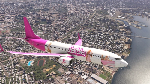 PMDG 737-800 Barbie