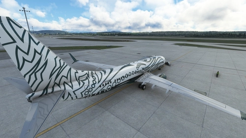 PMDG 737-800 BBJ2 "Doodles" (N364BZ)