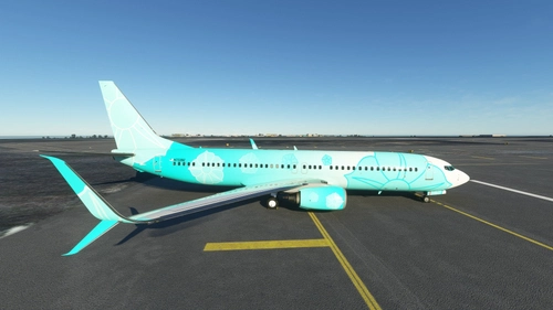 PMDG 737-800 BBJ2 "FlowersBlue" (N722BZ)
