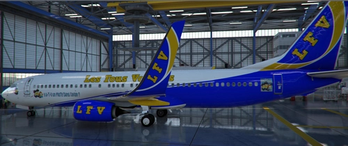 PMDG 737-800-BBJ2 "LES FOUS VOLANTS"