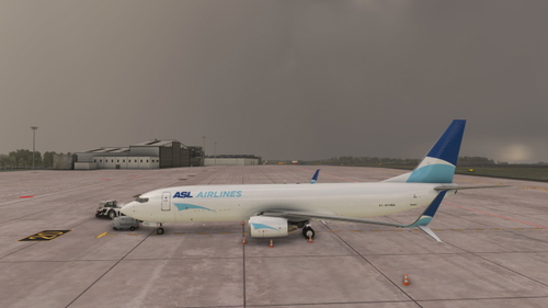 PMDG 737-800 BCF ASL  AIRLINES (EI-HRA)