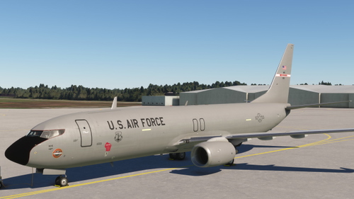 PMDG 737-800 BDSF USAF ANG0015