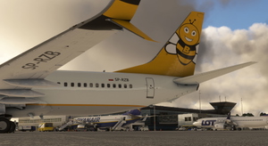 PMDG 737-800  Ryanair Buzz Livery Pack thumbnail 4