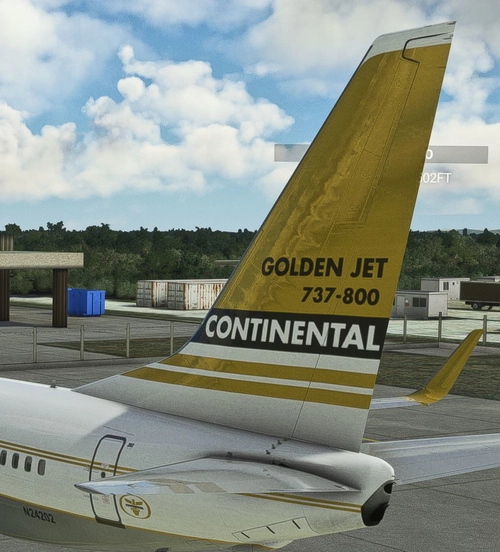 PMDG 737-800 Continental Airlines - Golden Jet Livery - N24202 (Fictional)