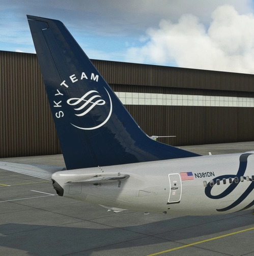 PMDG 737-800 Delta Air Lines (Skyteam Livery) N381DN