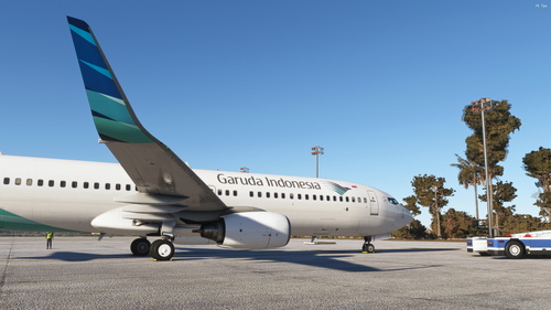 PMDG 737-800 Garuda Indonesia PK-GFG