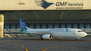 PMDG 737-800 Garuda Indonesia PK-GNG thumbnail 1