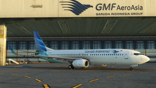 PMDG 737-800 Garuda Indonesia PK-GNG