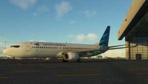 PMDG 737-800 Garuda Indonesia PK-GNG thumbnail 2