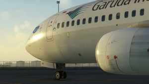 PMDG 737-800 Garuda Indonesia PK-GNG thumbnail 4