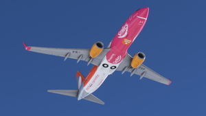 GOL Smiles Shopping PR-GXP w/cabin | PMDG 737-800 thumbnail 4