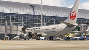 PMDG 737-800 Japan Airlines  JA304J thumbnail 6