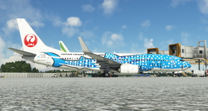 PMDG 737-800 Japan Transocean Air - JA05RK thumbnail 3