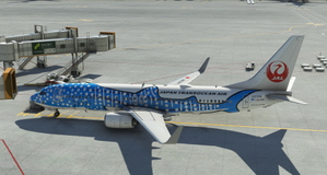 PMDG 737-800 Japan Transocean Air - JA05RK thumbnail 4