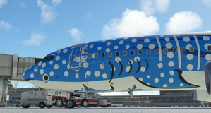 PMDG 737-800 Japan Transocean Air - JA05RK thumbnail 5